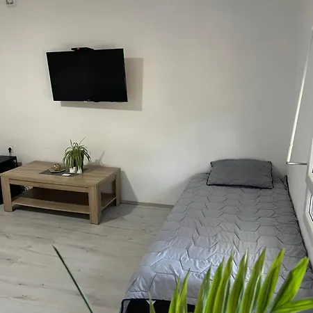 Holiday home Sony Apartman-private Parking Is Free - Jacuzzi Is Free Jagodina