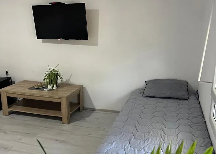 Дом отдыха Sony Apartman-private Parking Is Free - Jacuzzi Is Free Ягодина